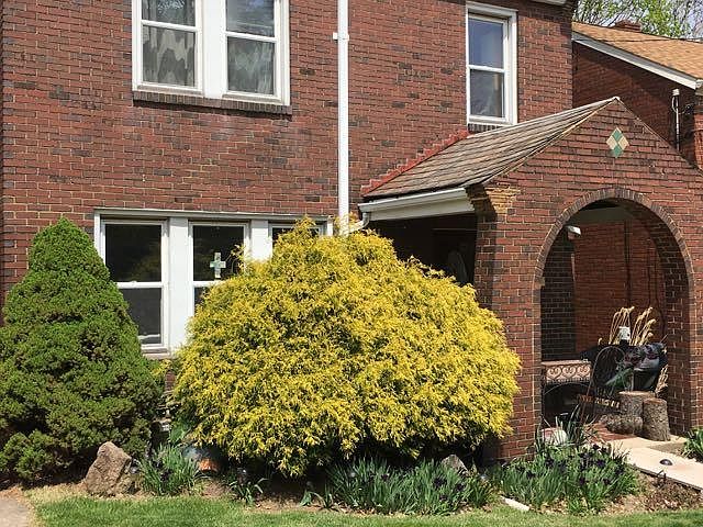 South facing front with no steps providing easy access.