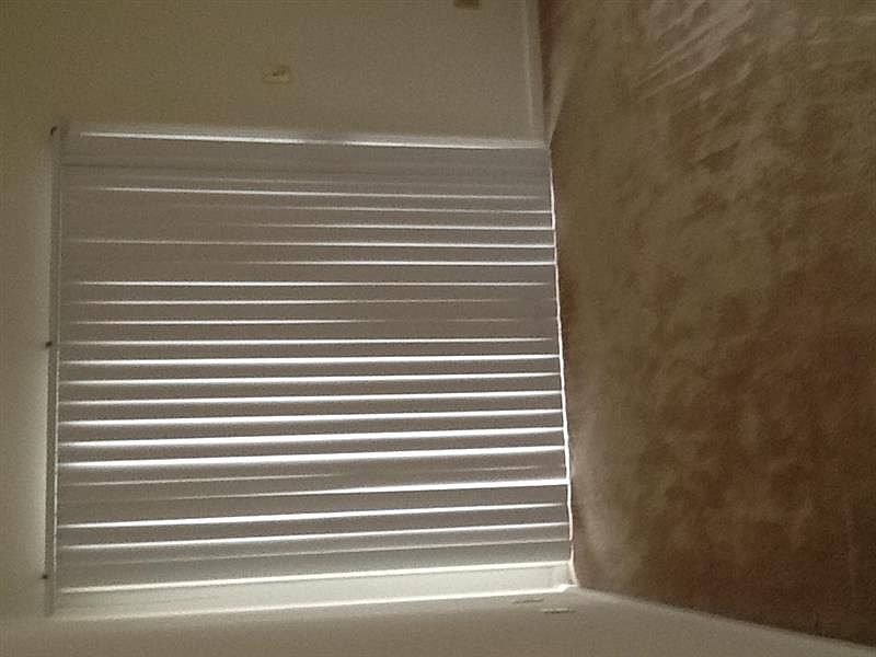 1st image of 531 Pineland Cir APT 204