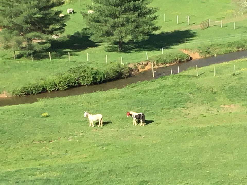 Year-Round Stream 
