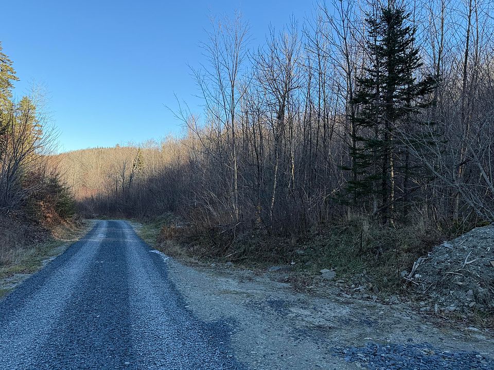 1st image of M5 L46D Black Bear Avenue