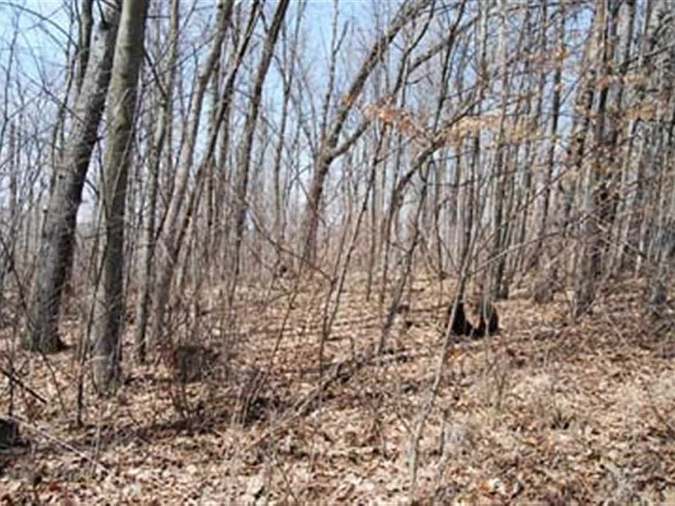 1st image of LOT 9 Loon Ct