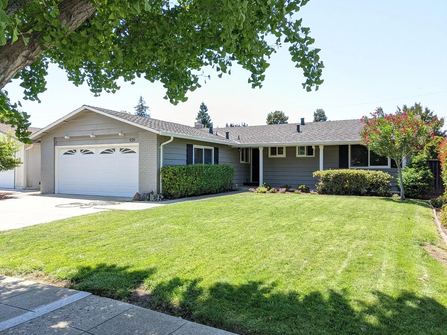 929 Cottonwood Dr photo 1