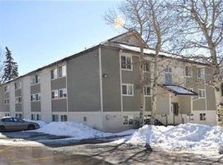 851 W Beaver Creek Blvd #1B, Avon, CO 81620