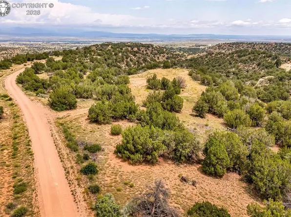 0 Newlin Ridge Rd, Florence, CO 81226