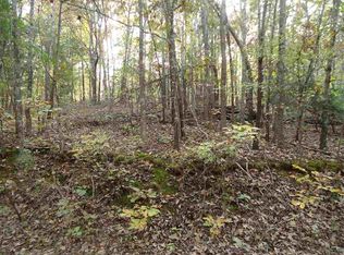 LOT 262 Pine Bluff Subd, New Concord, KY 42076