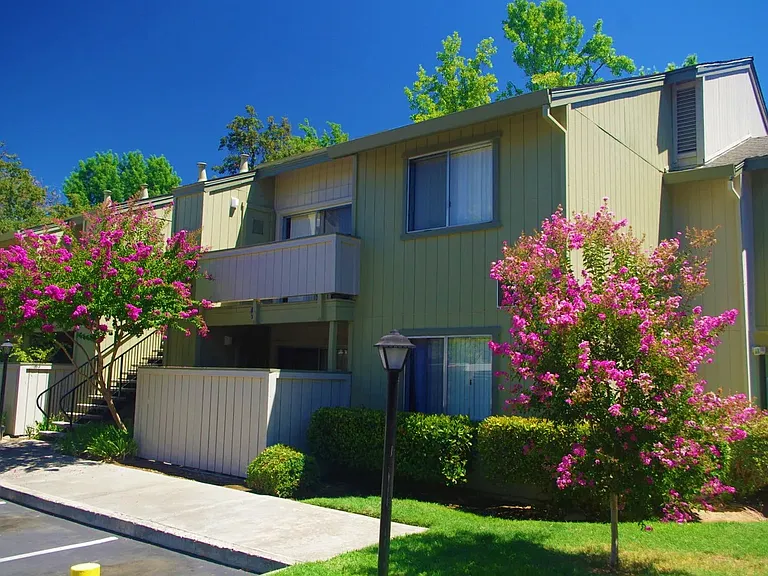 Vibrant landscaping