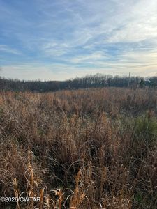 0 Mitchell Rd, Greenfield, TN, 38230