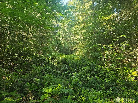 5th image of 13811 Starflower Lane SE