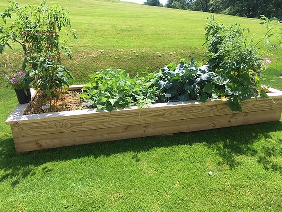 raised garden