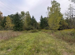 3378 Pearl Rd, Medina, OH 44256