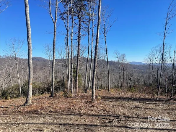 59 Mountain Laurel Ln, Fletcher, NC 28732