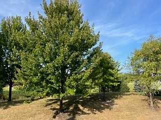 2nd image of 1652 Station Park Dr