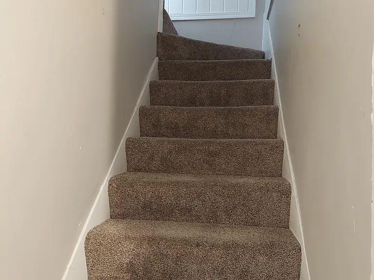 236 Cypress St S #3 — Photo 10