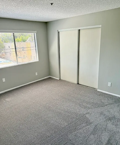 5000 Echo Street — Photo 8