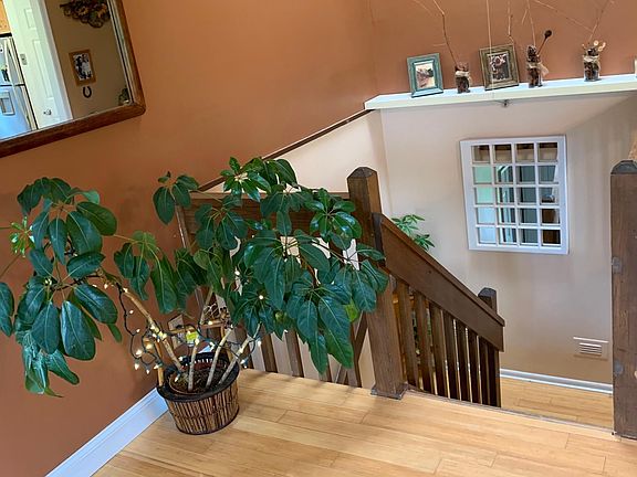 5th image of 5301 Pinehurst Dr