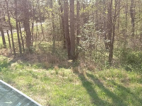 2nd image of Mountain Rd