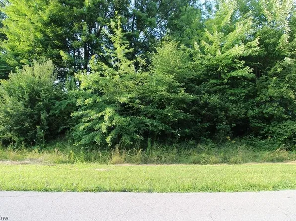 Chaffee Dr, Orwell, OH 44076