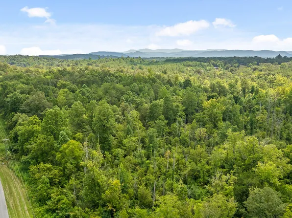 LOT 1 Lick Creek Rd, Tellico Plains, TN 37385