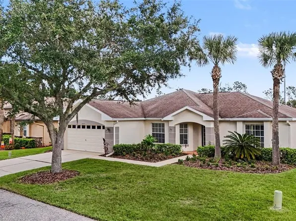 10223 COLLAR DRIVE, SAN ANTONIO, FL 33576