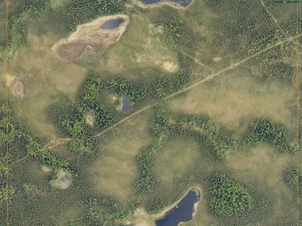 Tl 308 Sec31s3e Chena Hot Springs Rd, Fairbanks, AK 99712