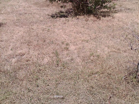 Huge Back Yard Full Fence