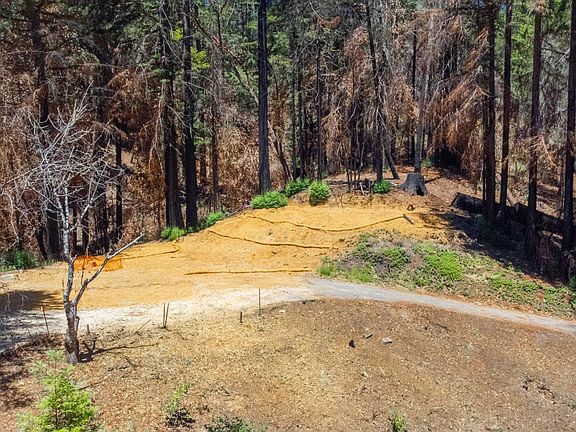 2nd image of 807 Kings Hwy