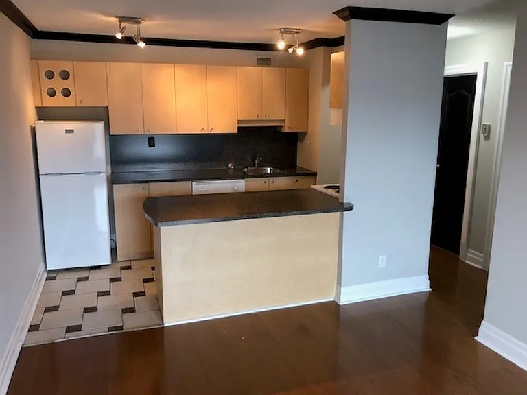 251 Bolton St — Photo 7