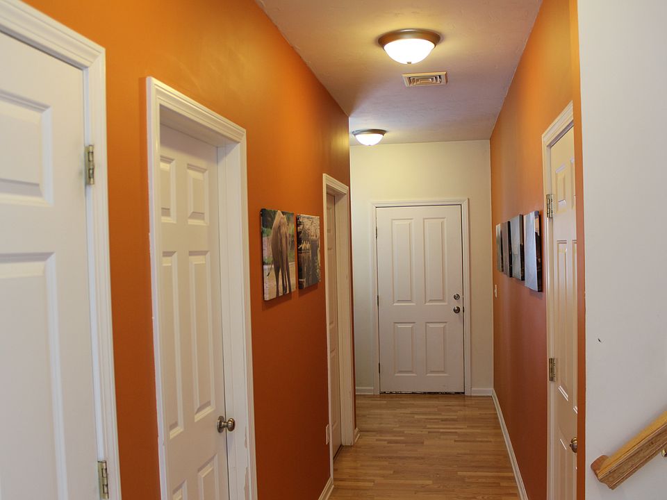 Entry & hallway