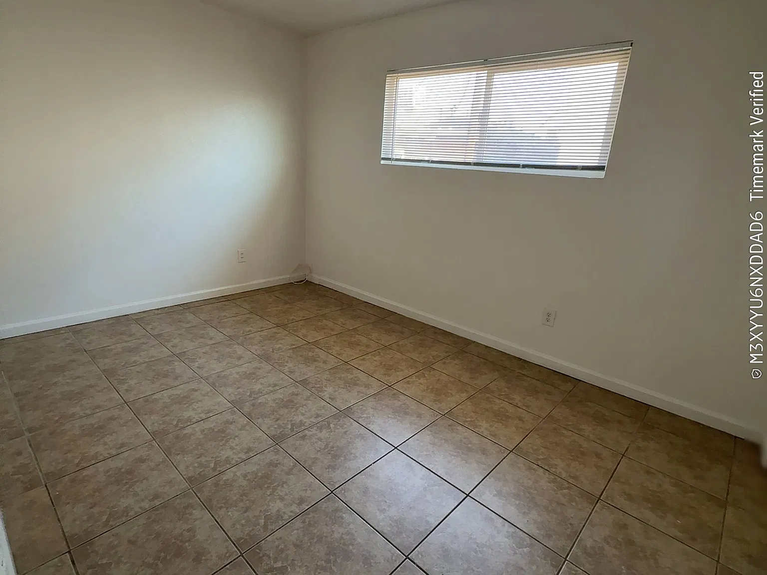 2 bed, $1,095 — Photo 3