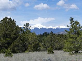 TBD Cody Park Ct, Cotopaxi, CO 81223