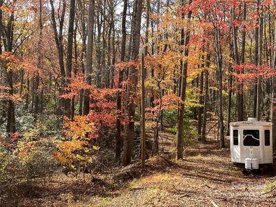 713 White Oak Creek Rd, Burnsville, NC, 28714