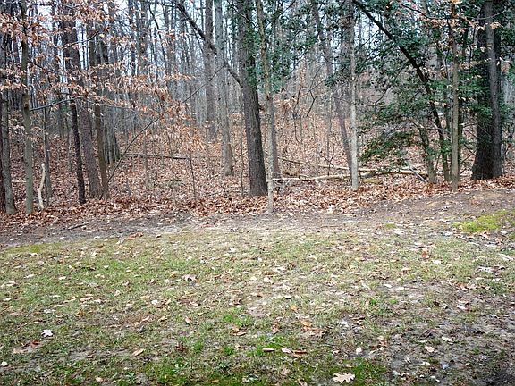 View out of living room window