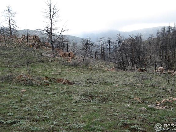 3rd image of 1400 Meadow Mountain Dr