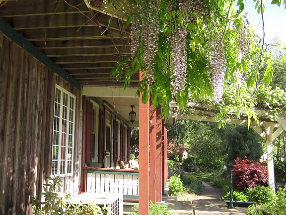 Wysteria from balcony