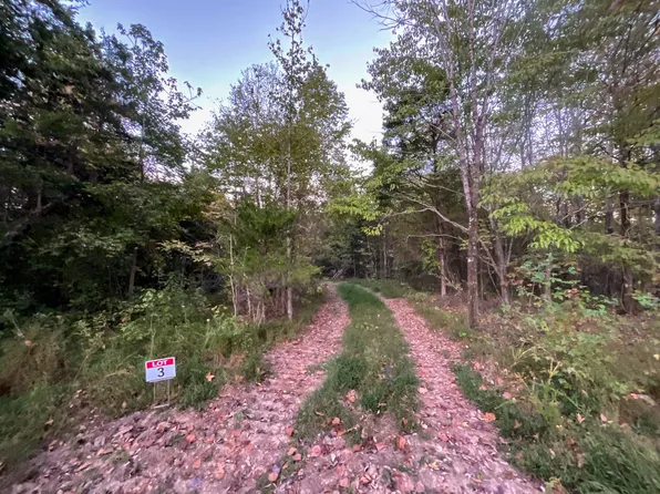 3 Lyle Hollow Rd Lot 3, Palmyra, TN 37142