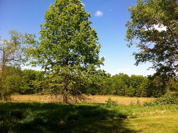 5th image of 10003 County Road 1002