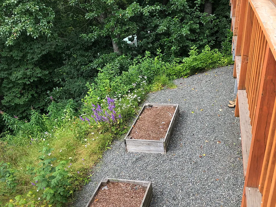 Backyard raised planters 