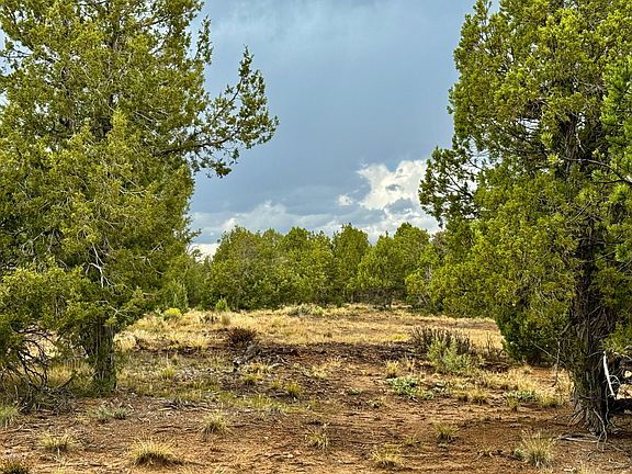 5th image of 2543 Wrangler Way Lot 25