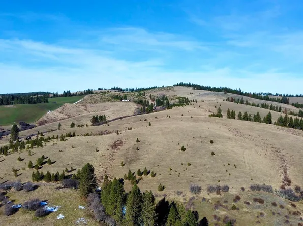 Laubner Rd, Nezperce, ID 83543
