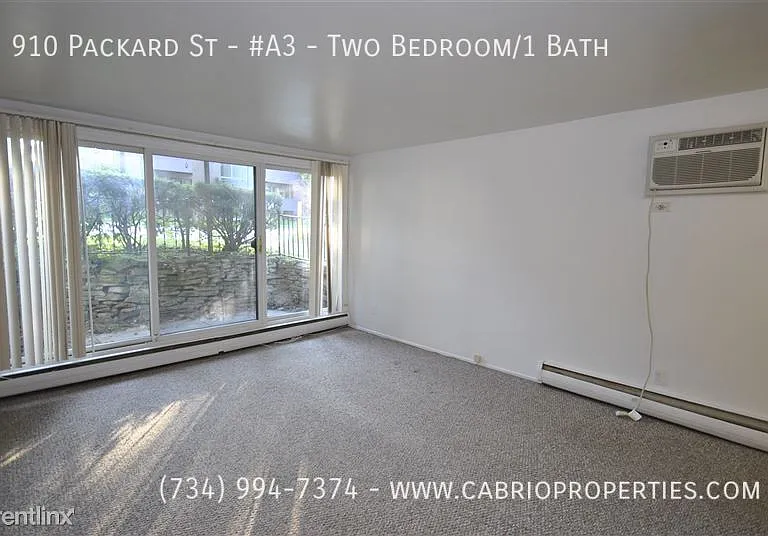 910 Packard St — Photo 18