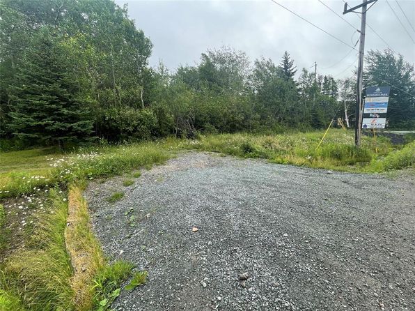 127 Trans Canada Highway, Appleton, NL A0G2K0
