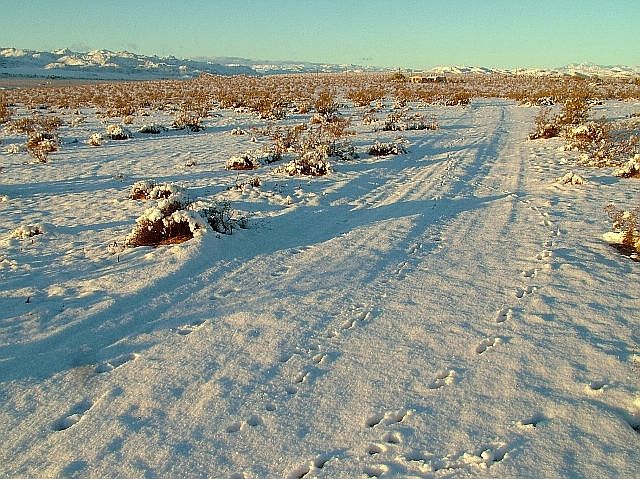 A Real Christmas Morning...