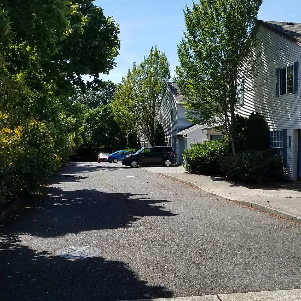 3 bed, 1243 sqft, $2,250 — Photo 2