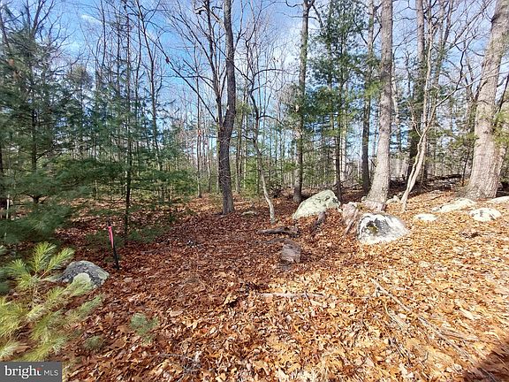 5th image of Oak Dale Ct