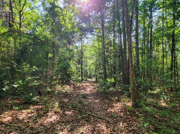 3994 County Road 774, Douglass, TX 75943