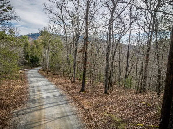 0 Pheasant St Lot 163, Lake Lure, NC 28746