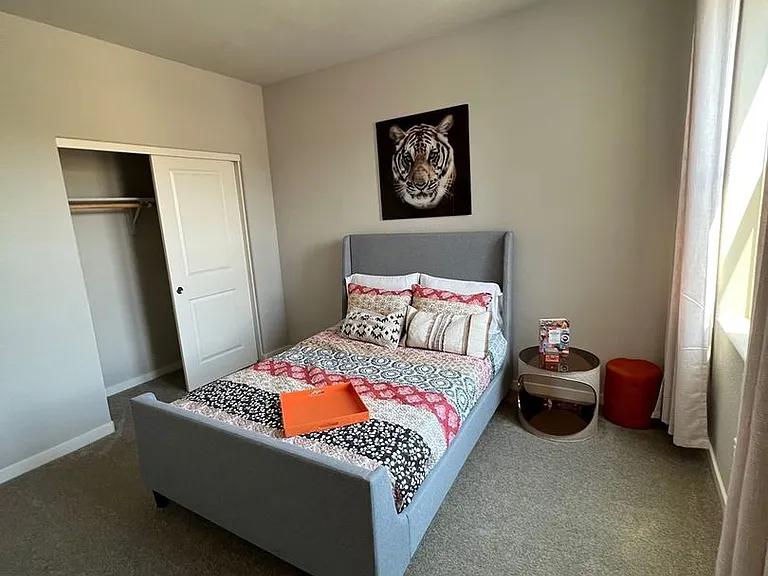 4789 Black Falcon Way — Photo 5