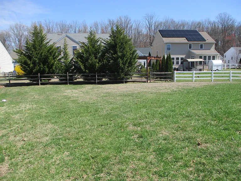 Opposite View of Back Yard