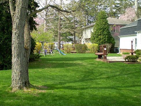 Backyard area