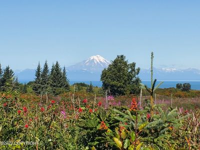 17259 Kimeluk St, Ninilchik, AK, 99639